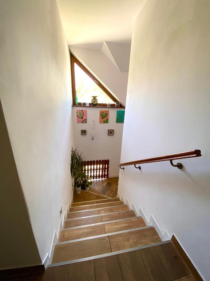 Agroturystyka Sarni Stok Krynica Exterior foto